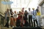 gruppo da One Piece