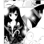 Accel World (3)