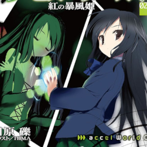 Accel World (5)