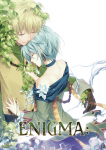 Enigma visual (2)