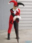 IMG_2146 piccola Harley Quinn 2