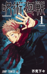 Jujutsu Kaisen (2)