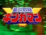 Seijuu Sentai Gingaman (2)