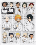 The Promised Neverland (3)