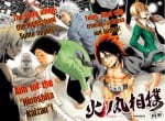 Hinomaru-Zumou