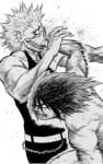 Hinomaru-Zumou