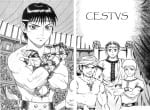 cestus (5)