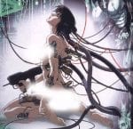 ghost in the shell (2)