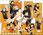 haikyuu (2)