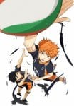 haikyuu (3)