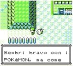 pokemon giallo (6)