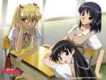 school rumble (6)